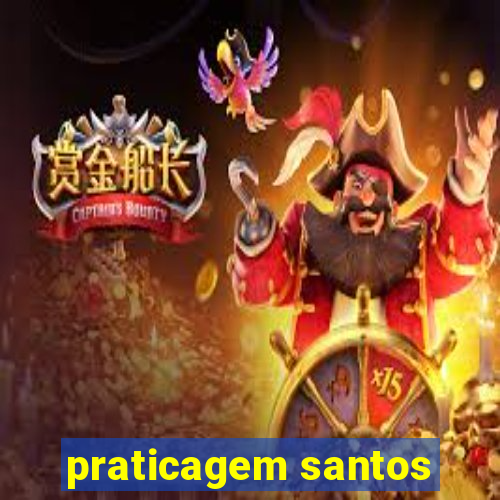 praticagem santos